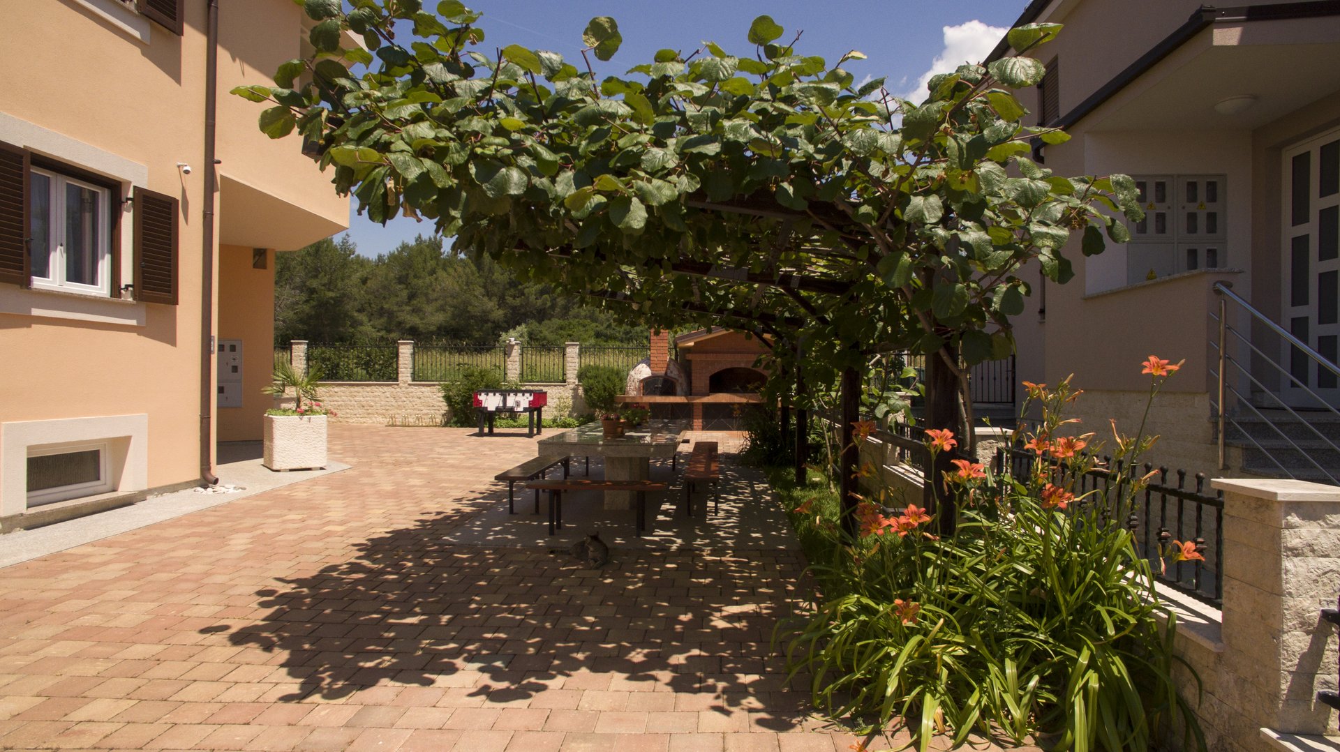 Villa Pineta photo 9